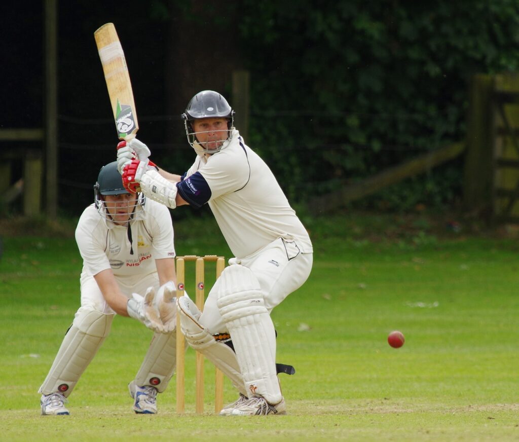 cricket, batter, sport-724617.jpg